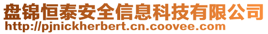 盤錦恒泰安全信息科技有限公司