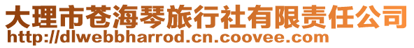 大理市蒼海琴旅行社有限責任公司