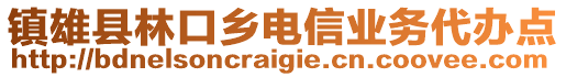 鎮(zhèn)雄縣林口鄉(xiāng)電信業(yè)務(wù)代辦點