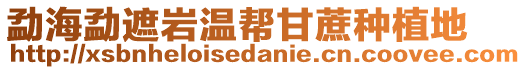 勐海勐遮巖溫幫甘蔗種植地