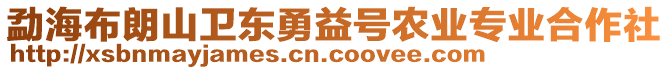 勐海布朗山衛(wèi)東勇益號農(nóng)業(yè)專業(yè)合作社