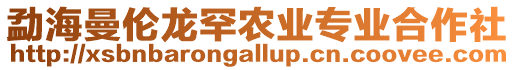 勐海曼倫龍罕農(nóng)業(yè)專業(yè)合作社