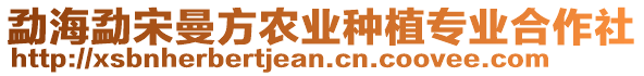 勐海勐宋曼方農(nóng)業(yè)種植專業(yè)合作社