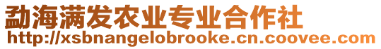 勐海滿發(fā)農(nóng)業(yè)專業(yè)合作社