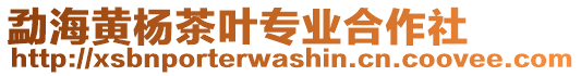 勐海黃楊茶葉專業(yè)合作社