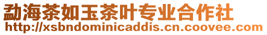 勐海茶如玉茶葉專業(yè)合作社