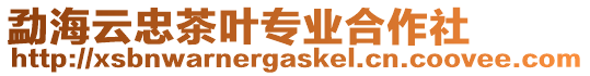 勐海云忠茶葉專業(yè)合作社