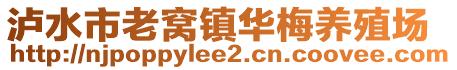 泸水市老窝镇华梅养殖场