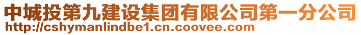 中城投第九建設(shè)集團有限公司第一分公司