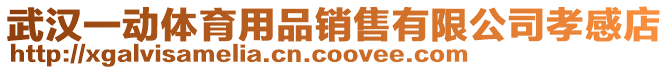 武漢一動體育用品銷售有限公司孝感店