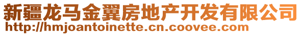 新疆龍馬金翼房地產(chǎn)開發(fā)有限公司