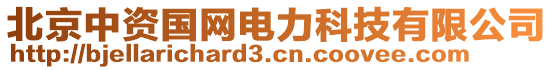 北京中資國(guó)網(wǎng)電力科技有限公司