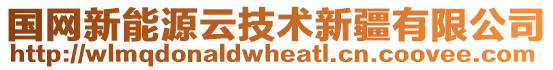 國網(wǎng)新能源云技術(shù)新疆有限公司