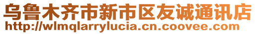 烏魯木齊市新市區(qū)友誠通訊店