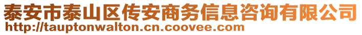 泰安市泰山区传安商务信息咨询有限公司