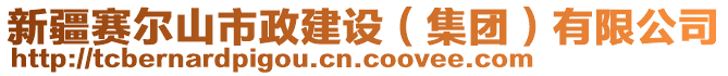 新疆赛尔山市政建设（集团）有限公司