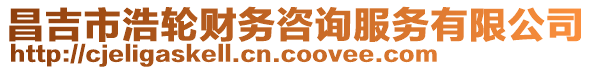 昌吉市浩輪財務(wù)咨詢服務(wù)有限公司