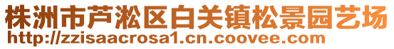 株洲市蘆淞區(qū)白關鎮(zhèn)松景園藝場