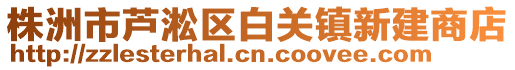 株洲市芦淞区白关镇新建商店