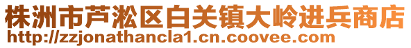 株洲市蘆淞區(qū)白關(guān)鎮(zhèn)大嶺進兵商店