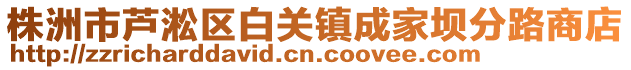 株洲市蘆淞區(qū)白關(guān)鎮(zhèn)成家壩分路商店