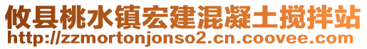 攸縣桃水鎮(zhèn)宏建混凝土攪拌站