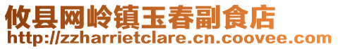 攸县网岭镇玉春副食店