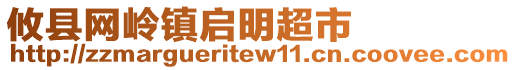 攸縣網(wǎng)嶺鎮(zhèn)啟明超市