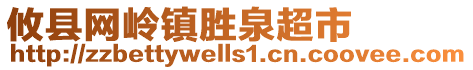 攸縣網(wǎng)嶺鎮(zhèn)勝泉超市