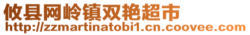 攸縣網(wǎng)嶺鎮(zhèn)雙艷超市