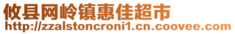 攸縣網(wǎng)嶺鎮(zhèn)惠佳超市