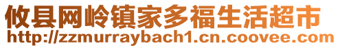 攸縣網(wǎng)嶺鎮(zhèn)家多福生活超市