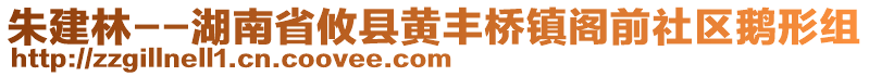 朱建林--湖南省攸縣黃豐橋鎮(zhèn)閣前社區(qū)鵝形組