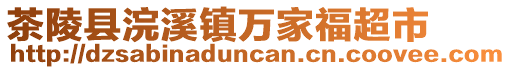 茶陵县浣溪镇万家福超市