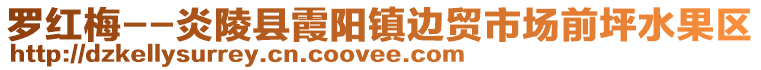 羅紅梅--炎陵縣霞陽(yáng)鎮(zhèn)邊貿(mào)市場(chǎng)前坪水果區(qū)