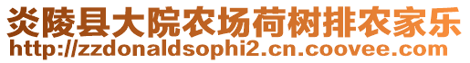 炎陵縣大院農(nóng)場(chǎng)荷樹排農(nóng)家樂