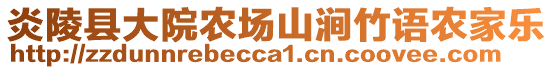 炎陵縣大院農(nóng)場山澗竹語農(nóng)家樂