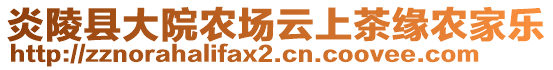 炎陵縣大院農(nóng)場云上茶緣農(nóng)家樂