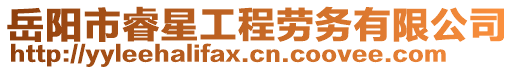 岳陽(yáng)市睿星工程勞務(wù)有限公司