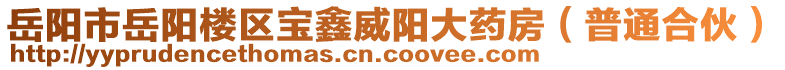 岳陽市岳陽樓區(qū)寶鑫威陽大藥房（普通合伙）