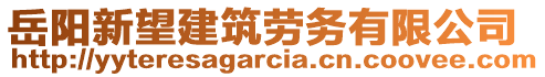 岳陽新望建筑勞務(wù)有限公司