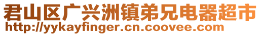 君山区广兴洲镇弟兄电器超市