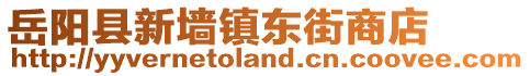 岳陽縣新墻鎮(zhèn)東街商店