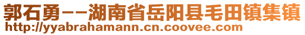 郭石勇--湖南省岳陽縣毛田鎮(zhèn)集鎮(zhèn)