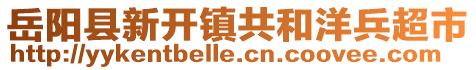 岳陽(yáng)縣新開(kāi)鎮(zhèn)共和洋兵超市