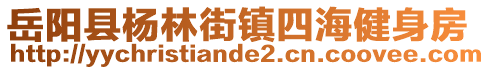 岳陽縣楊林街鎮(zhèn)四海健身房