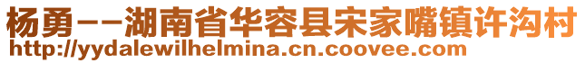 楊勇--湖南省華容縣宋家嘴鎮(zhèn)許溝村