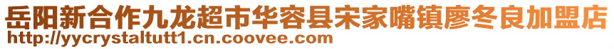 岳陽新合作九龍超市華容縣宋家嘴鎮(zhèn)廖冬良加盟店