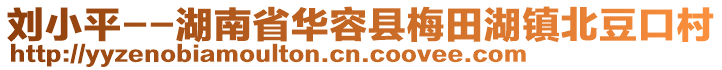 劉小平--湖南省華容縣梅田湖鎮(zhèn)北豆口村