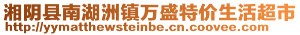 湘阴县南湖洲镇万盛特价生活超市